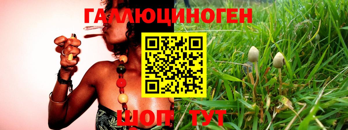 Среднеуральск  Галлюциногенные грибы Psilocybine cubensis  Вход с VPN 