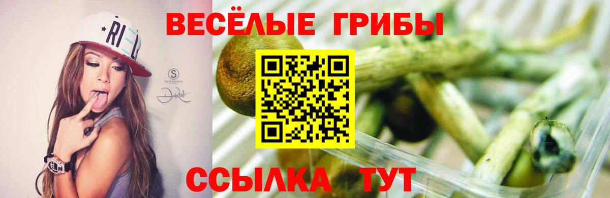 Псилоцибиновые грибы мухоморы Среднеуральск